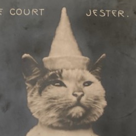 ~Welcome to my Closet~ - Picture 13 of 15